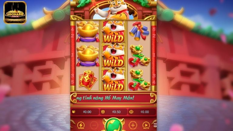 Hổ Kiếm Tiền có 5 dòng cược cố định, sử dụng tiền tệ đồng