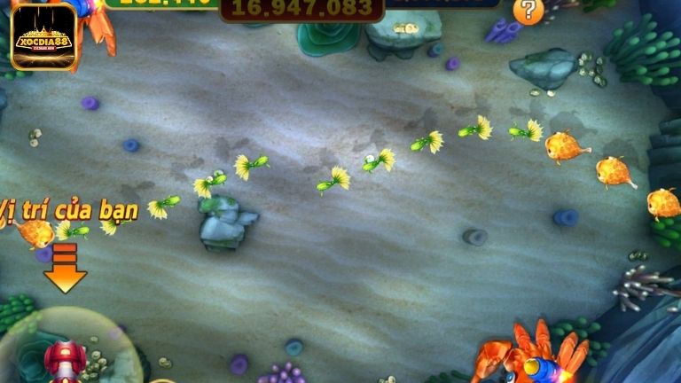 Jackpot Fishing mang đến thế giới game bắn cá nhiều màu sắc