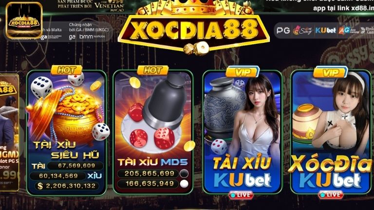 Khi đăng nhập vào Xocdia88 anh em có thể gặp phải một số lỗi