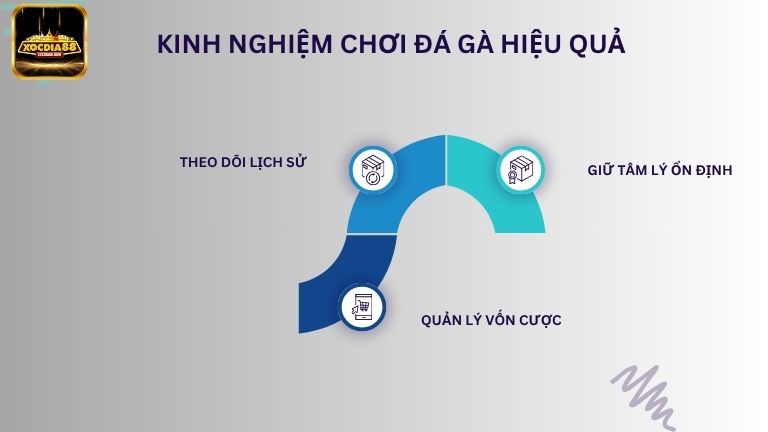 Nắm chắc kinh nghiệm hay giúp anh em đưa ra dự đoán chính xác cho các chiến kê